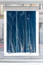 Ansicht der Ausstellung Getting Close