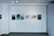 Ansicht der Ausstellung Rewilding the City