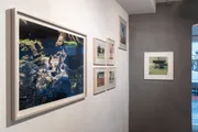 Ansicht der Ausstellung Nature de Luxe
