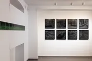 Ansicht der Ausstellung Wald