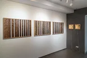 Ansicht der Ausstellung Wald
