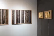 Ansicht der Ausstellung Wald