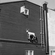 Aus: Ulrike Mayrhuber, Moving Mountains